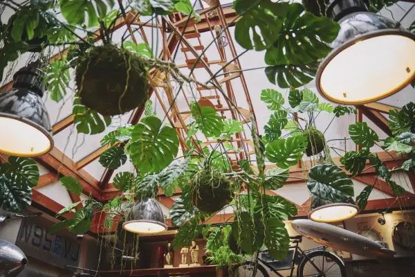 The Legacy and The Classic hostels in Brussels