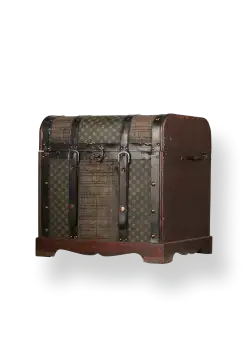 Travel trunk